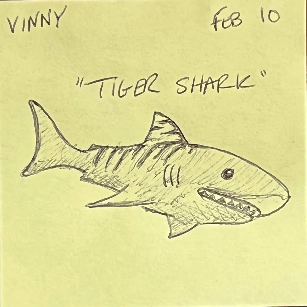 Tiger Shark