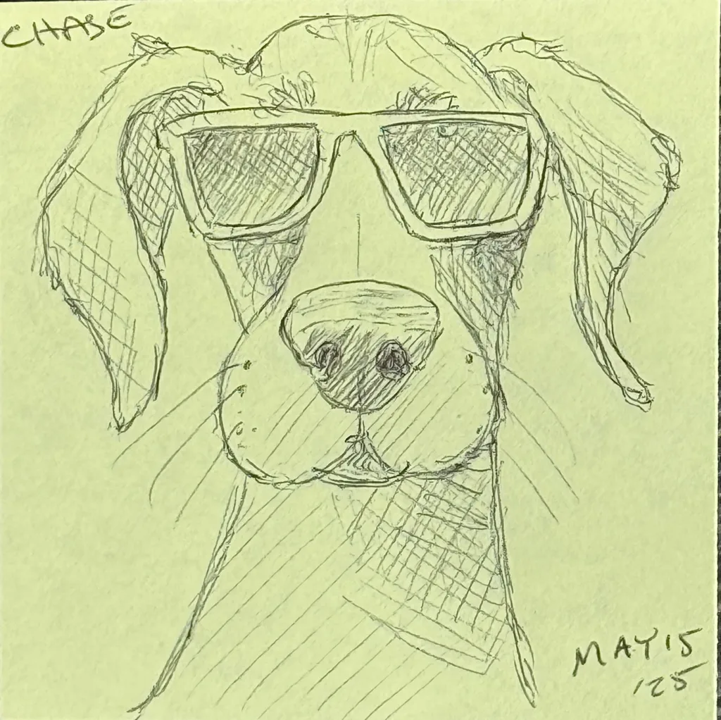 Cool Shades Dog