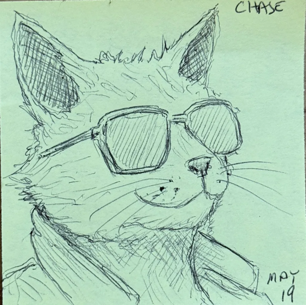 Cool Cat Shades