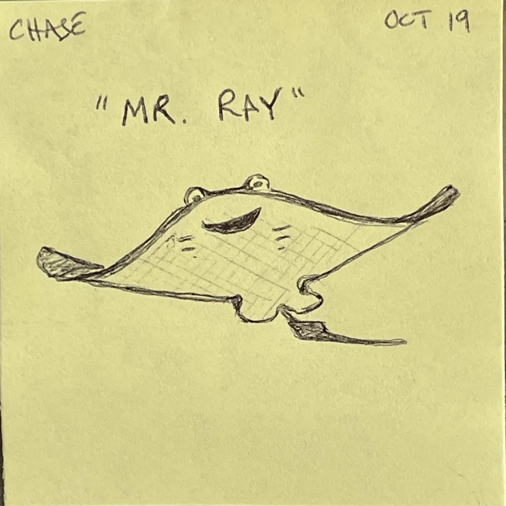 Mr. Ray