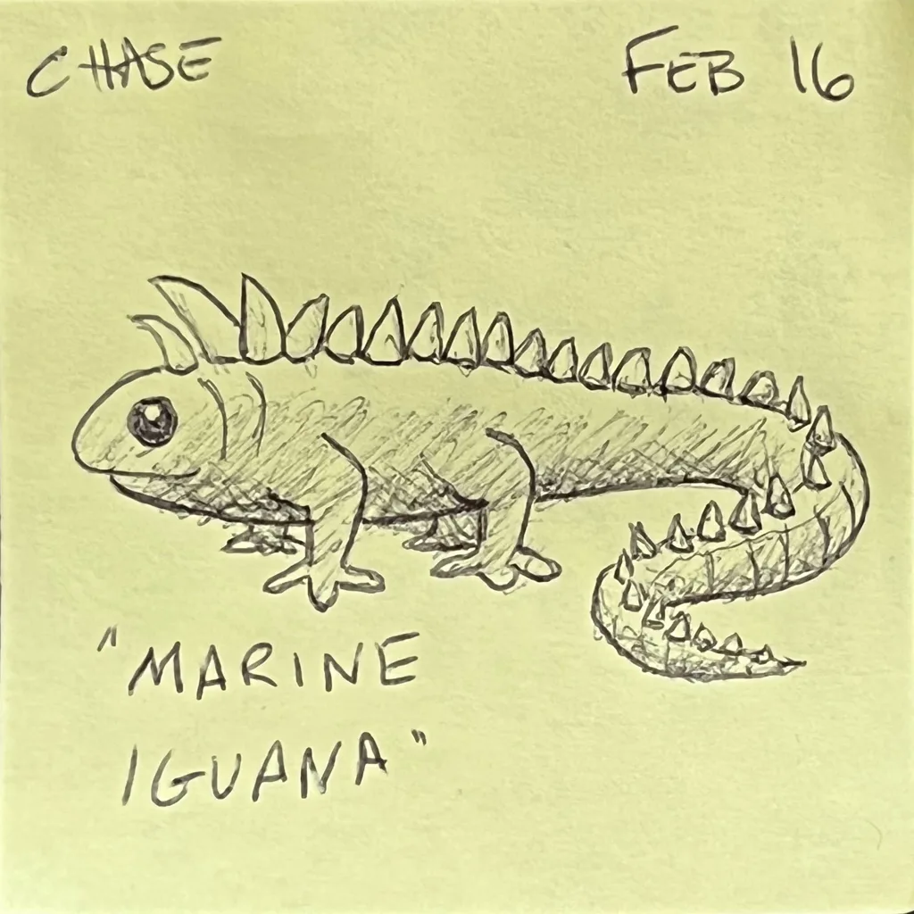 Marine Iguana
