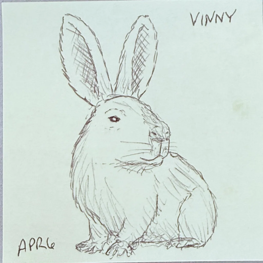 Watchful Rabbit