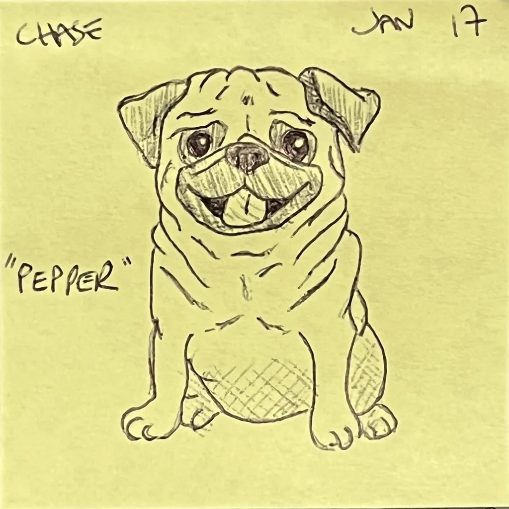 Pepper The Pug