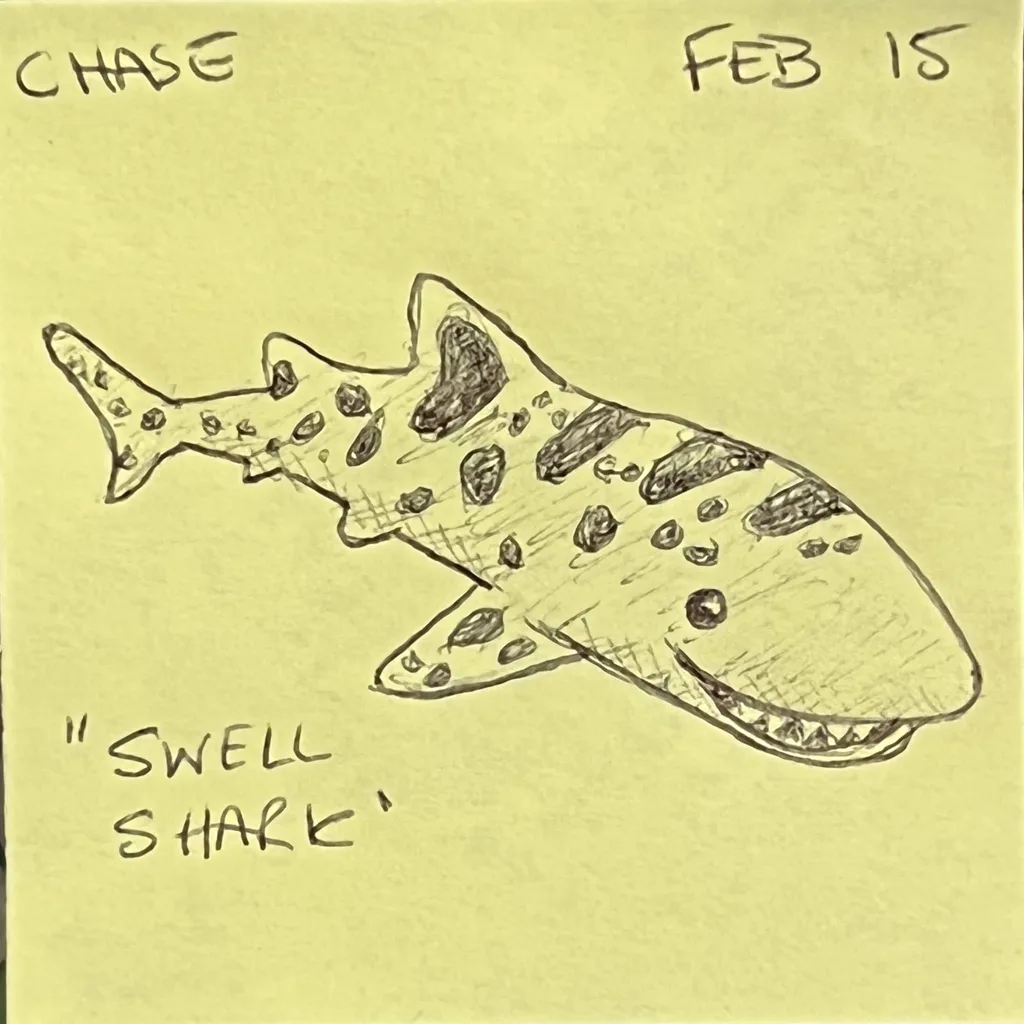 Swell Shark