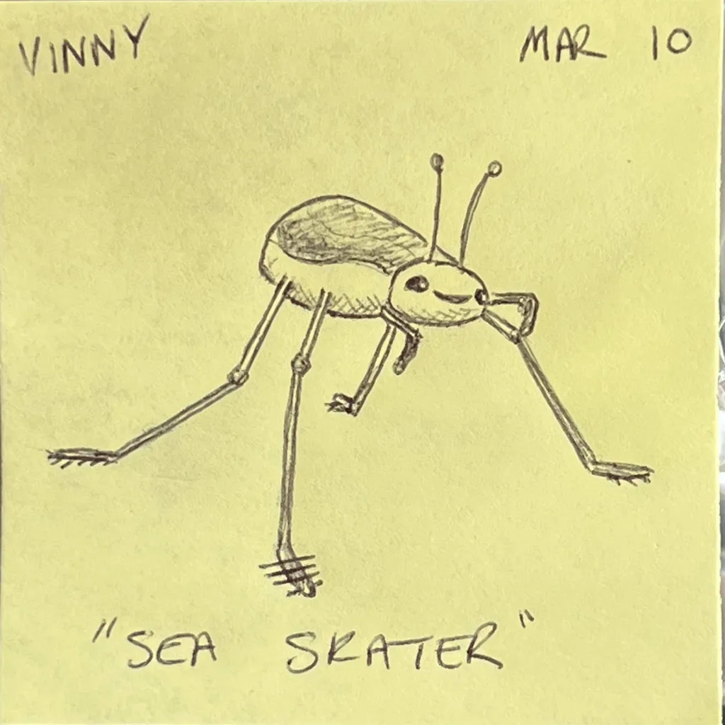 Sea Skater