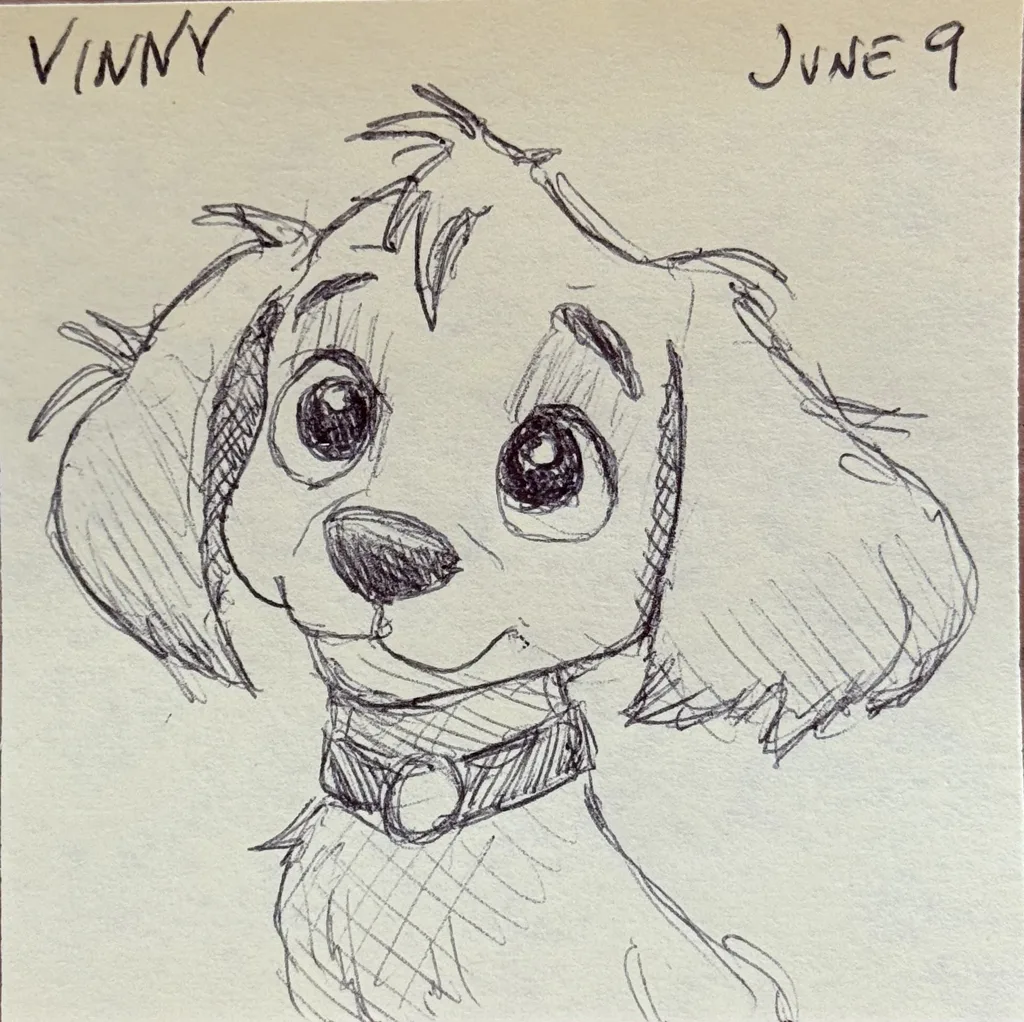 Sweet Spaniel Puppy