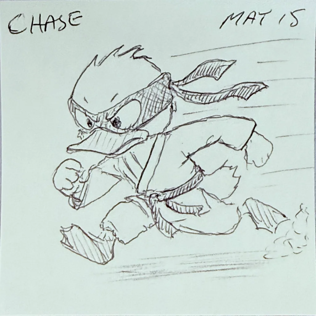 Ninja Duck