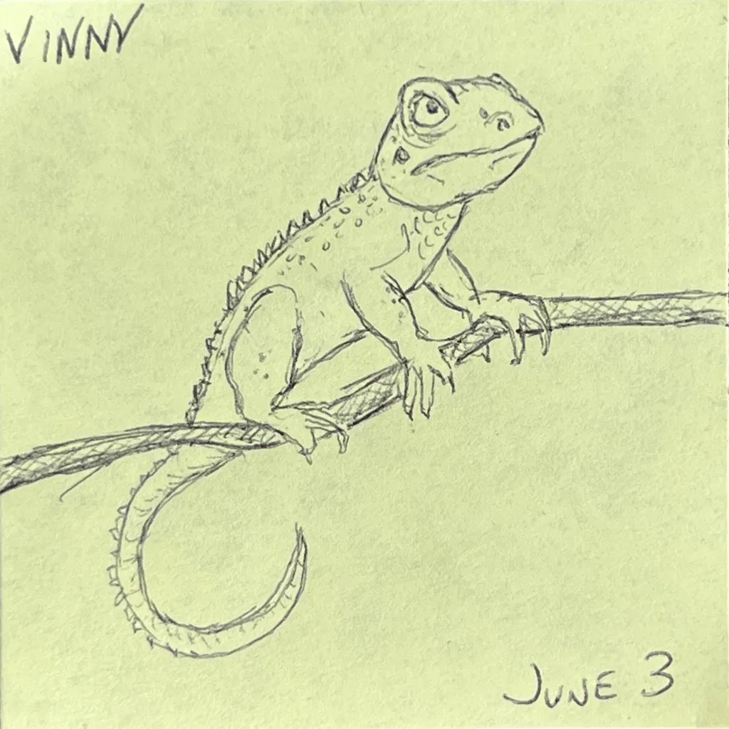 Little Tree Lizard