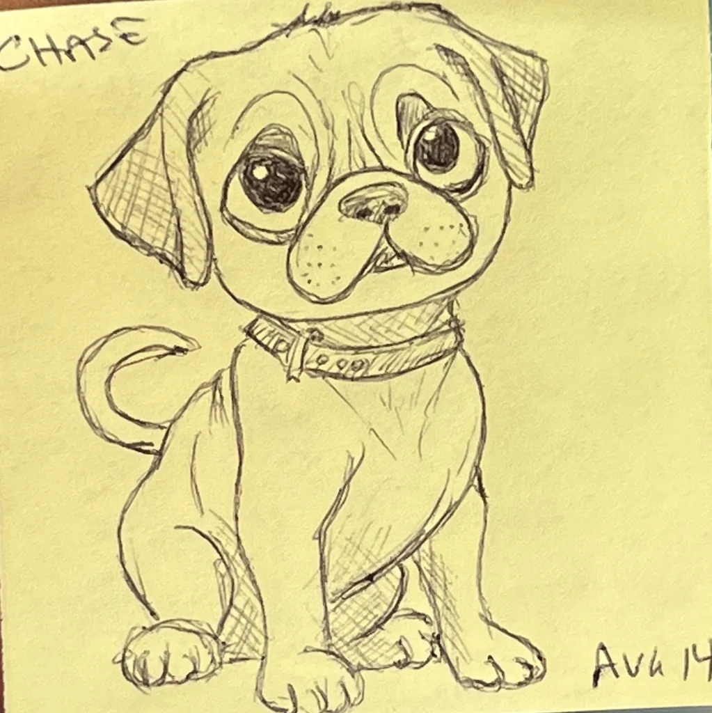 Pug Puppy