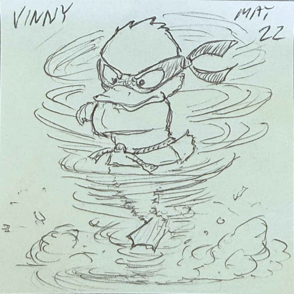 Ninja Duck Spin