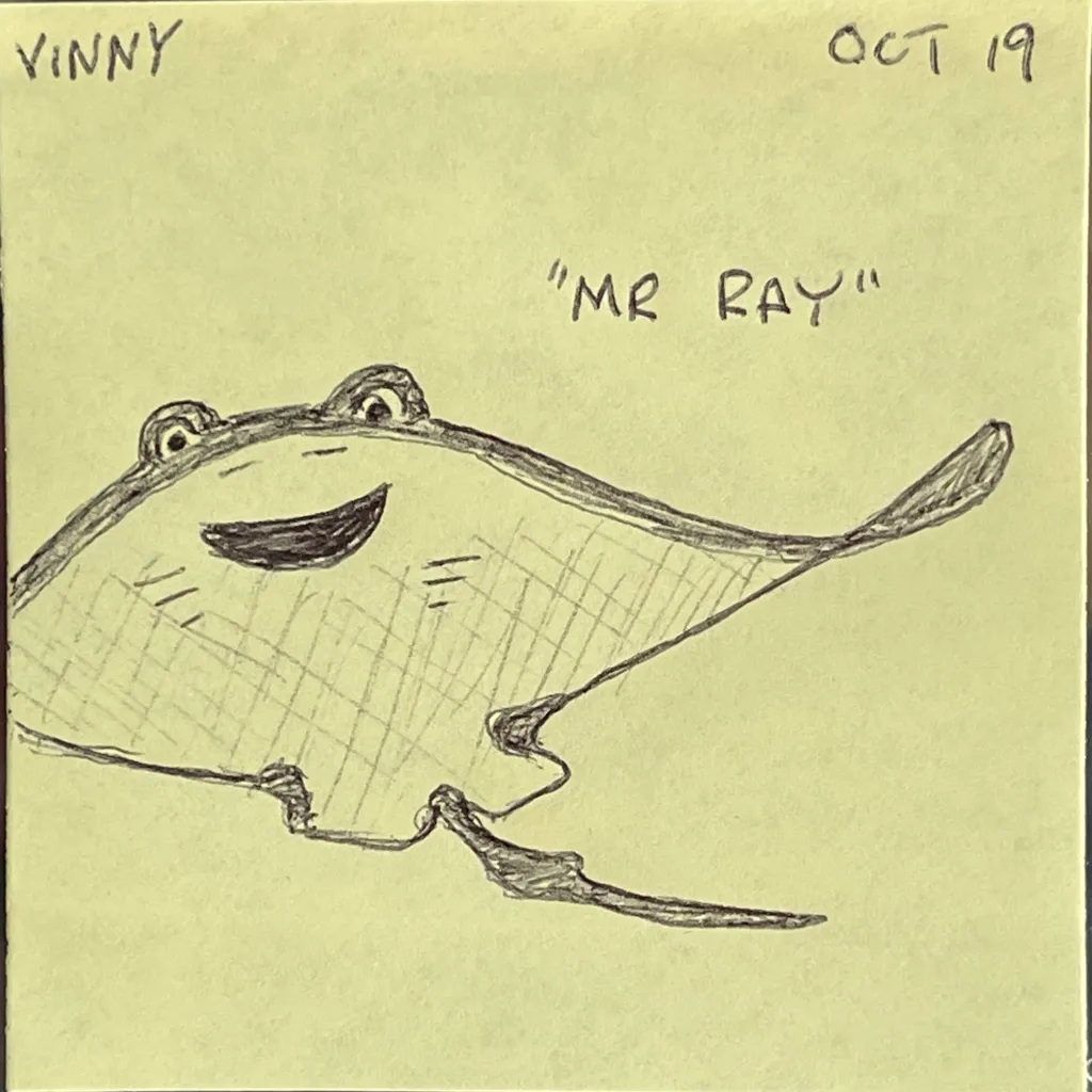 Mr Ray
