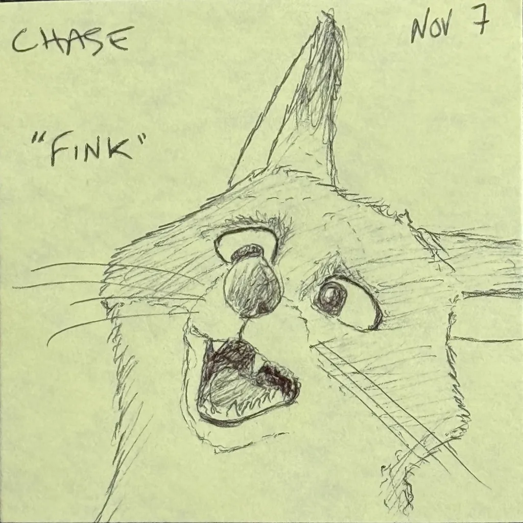 Fink The Startled Cat