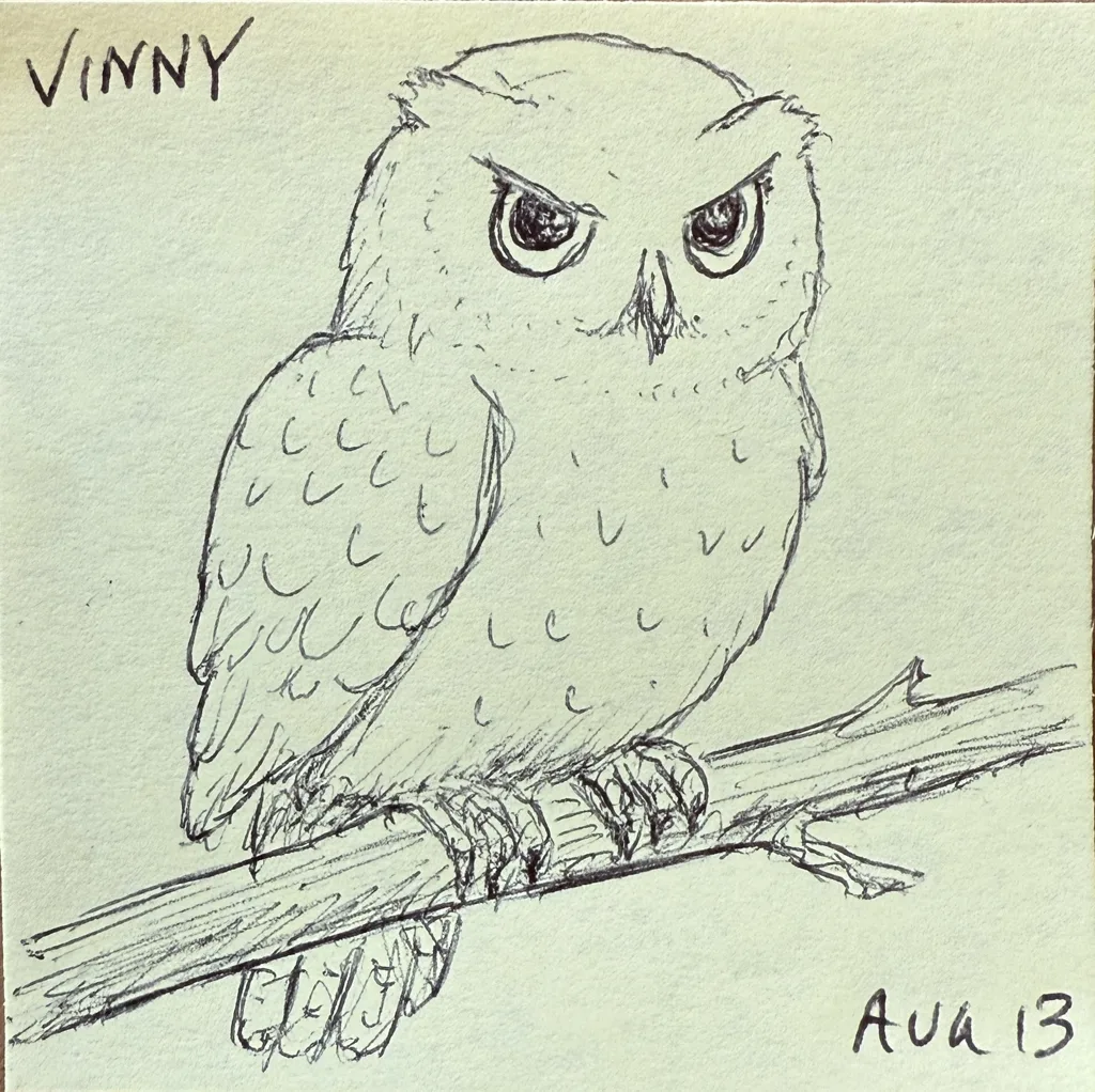 Grumpy Owl