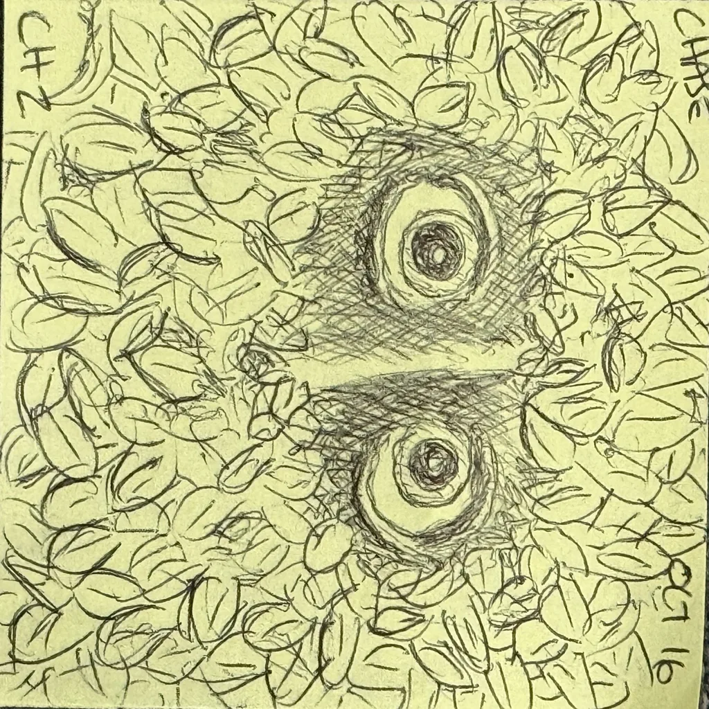 Hidden Owl Eyes