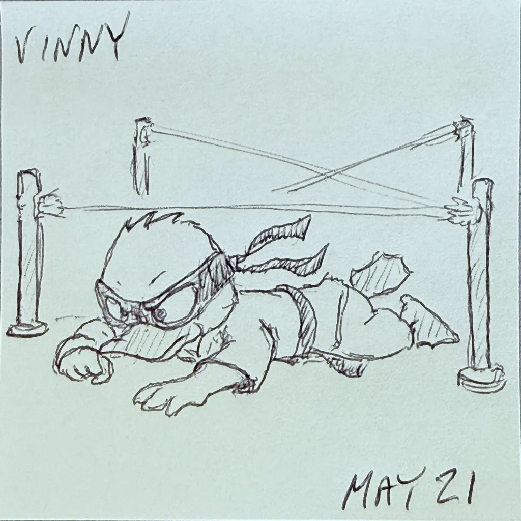 Sneaky Ninja Crawl