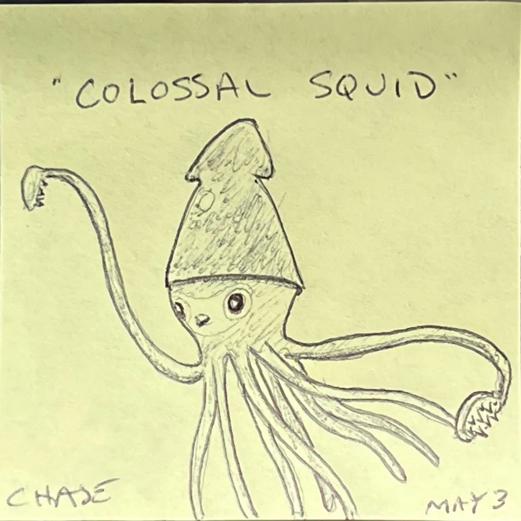 Colossal Squid
