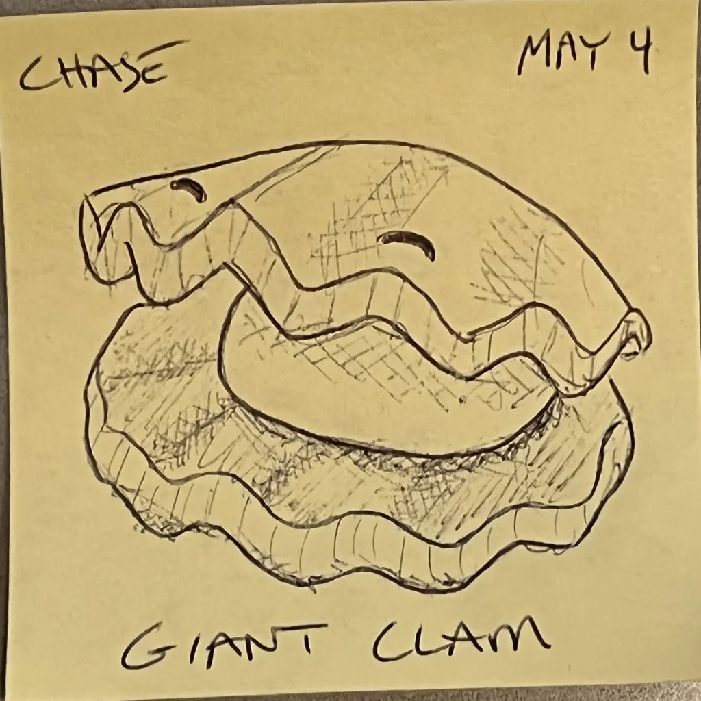 Giant Clam